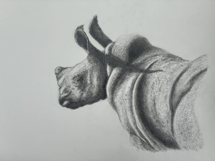 Baby Rihno in Blended Graphite