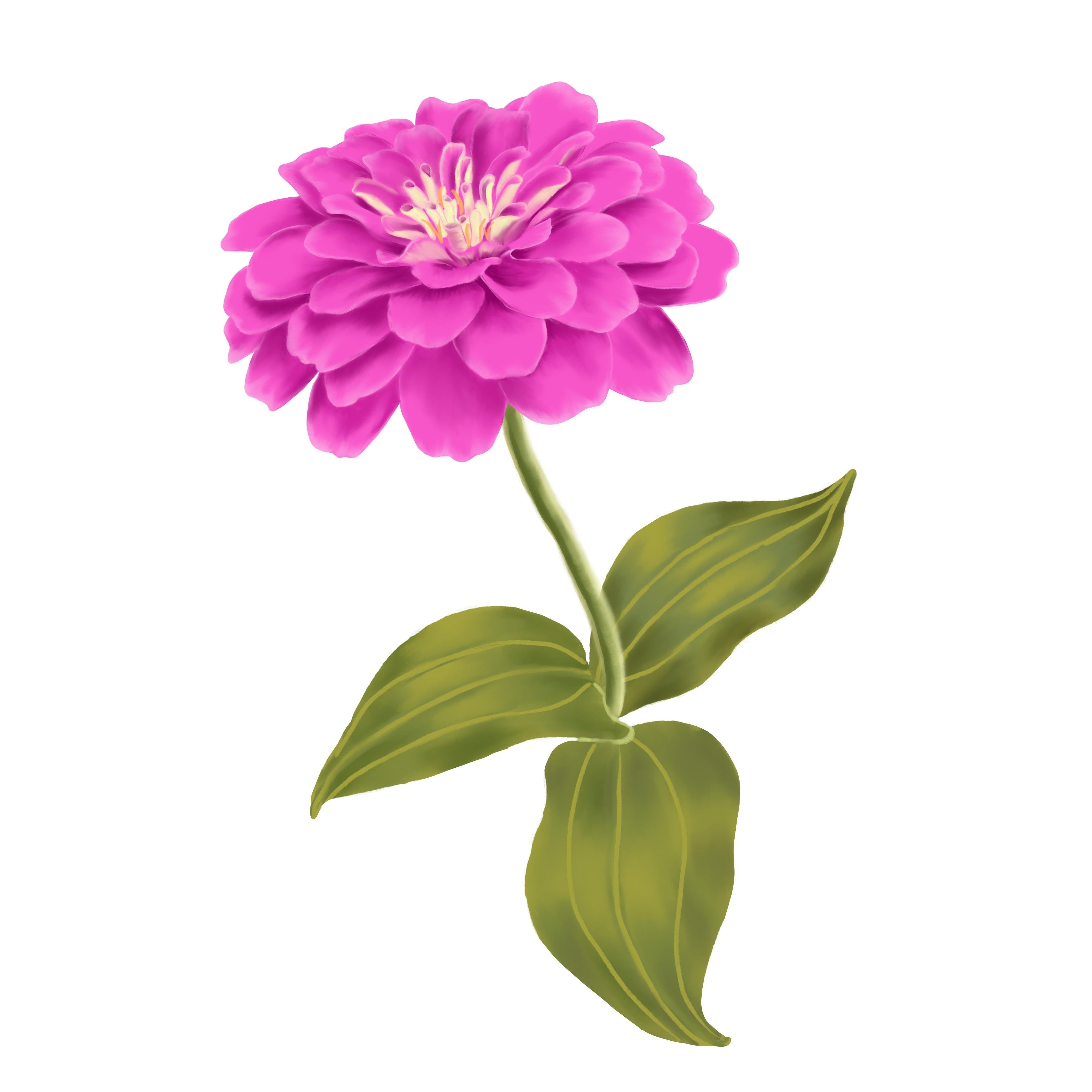 more-projects-from-class-img