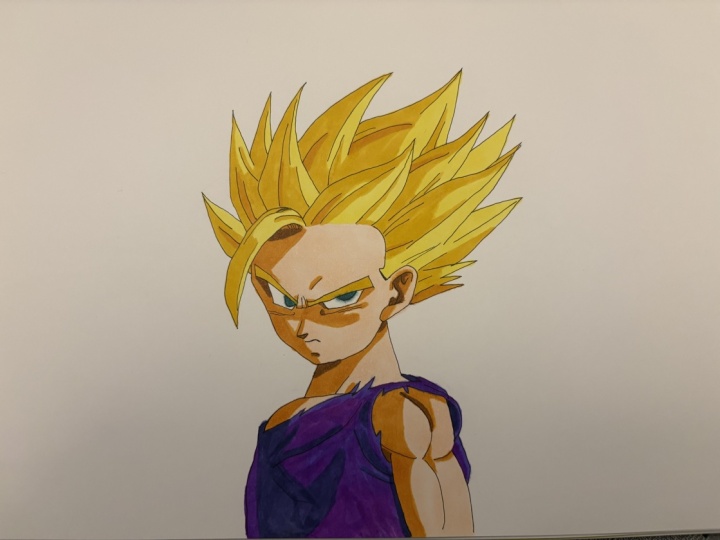 First Attempt of SS Gohan