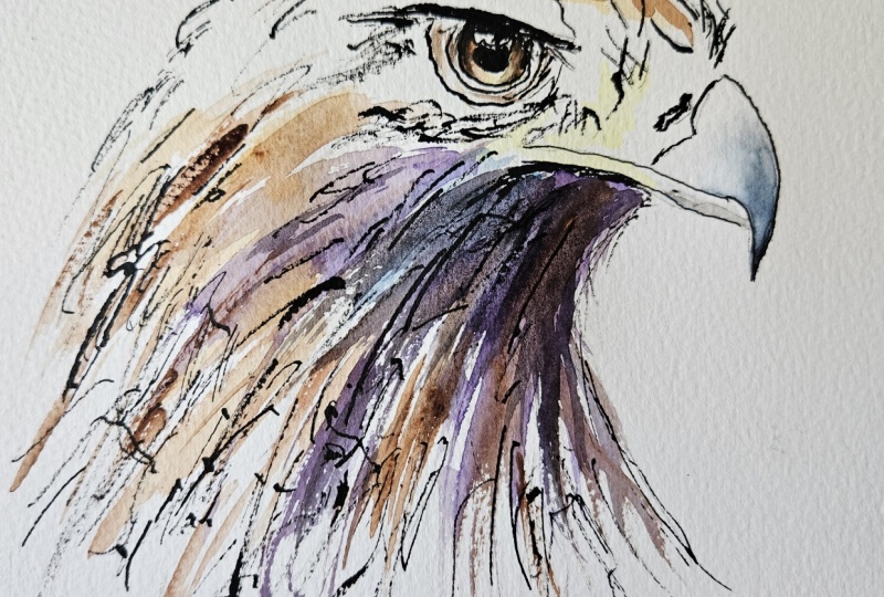 Ink watercolor eagle