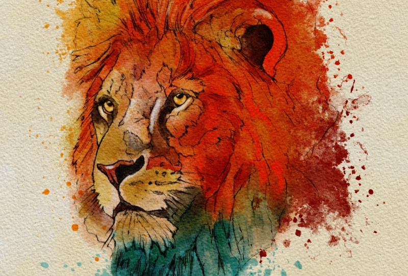 Lion in Procreate
