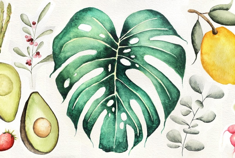 Intermediate Watercolor Techniques