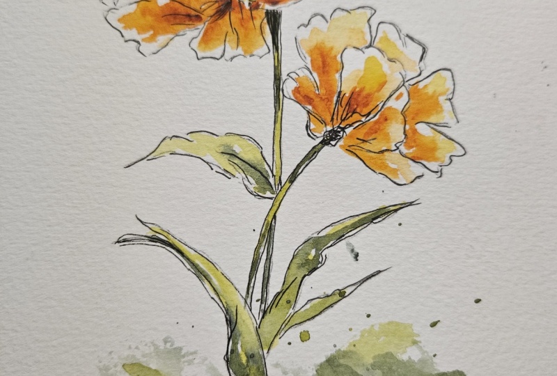 Ink and wash flowers
