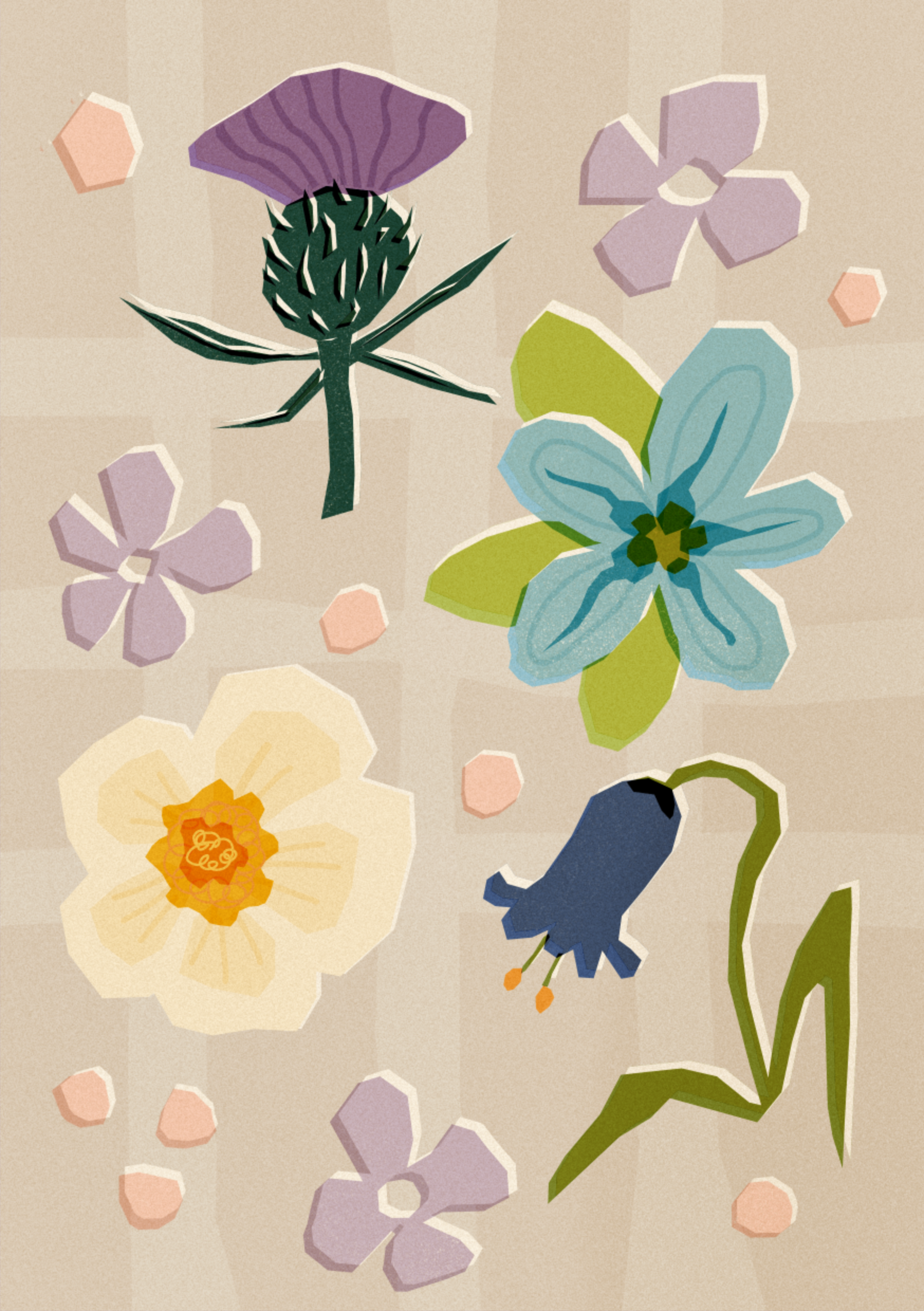 more-projects-from-class-img