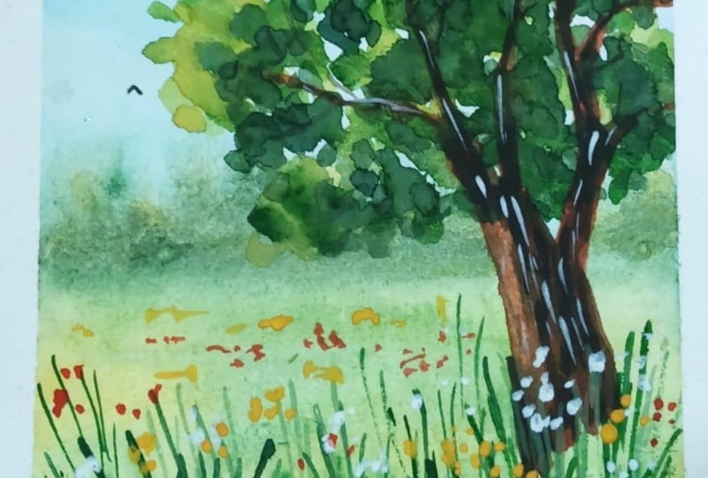 Spring Landscape