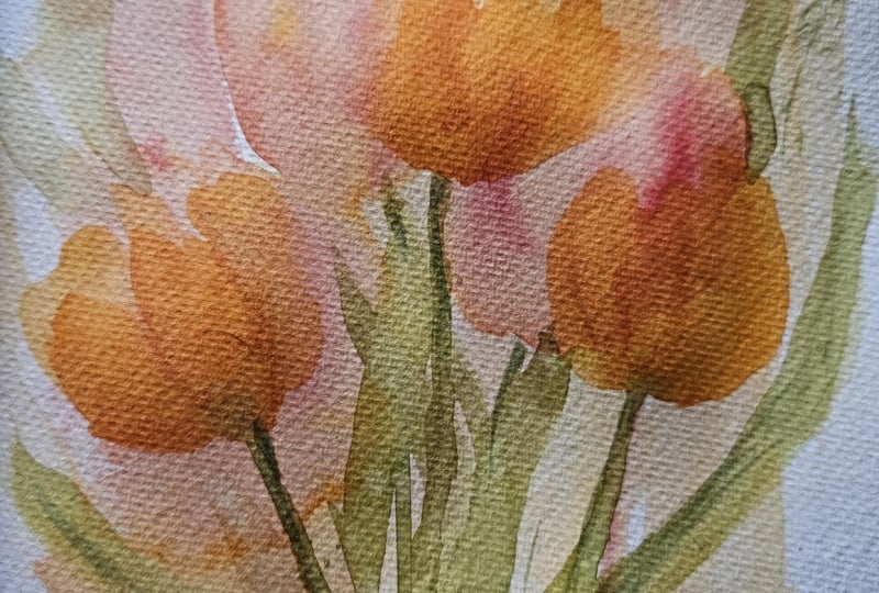 Loose w/c tulips