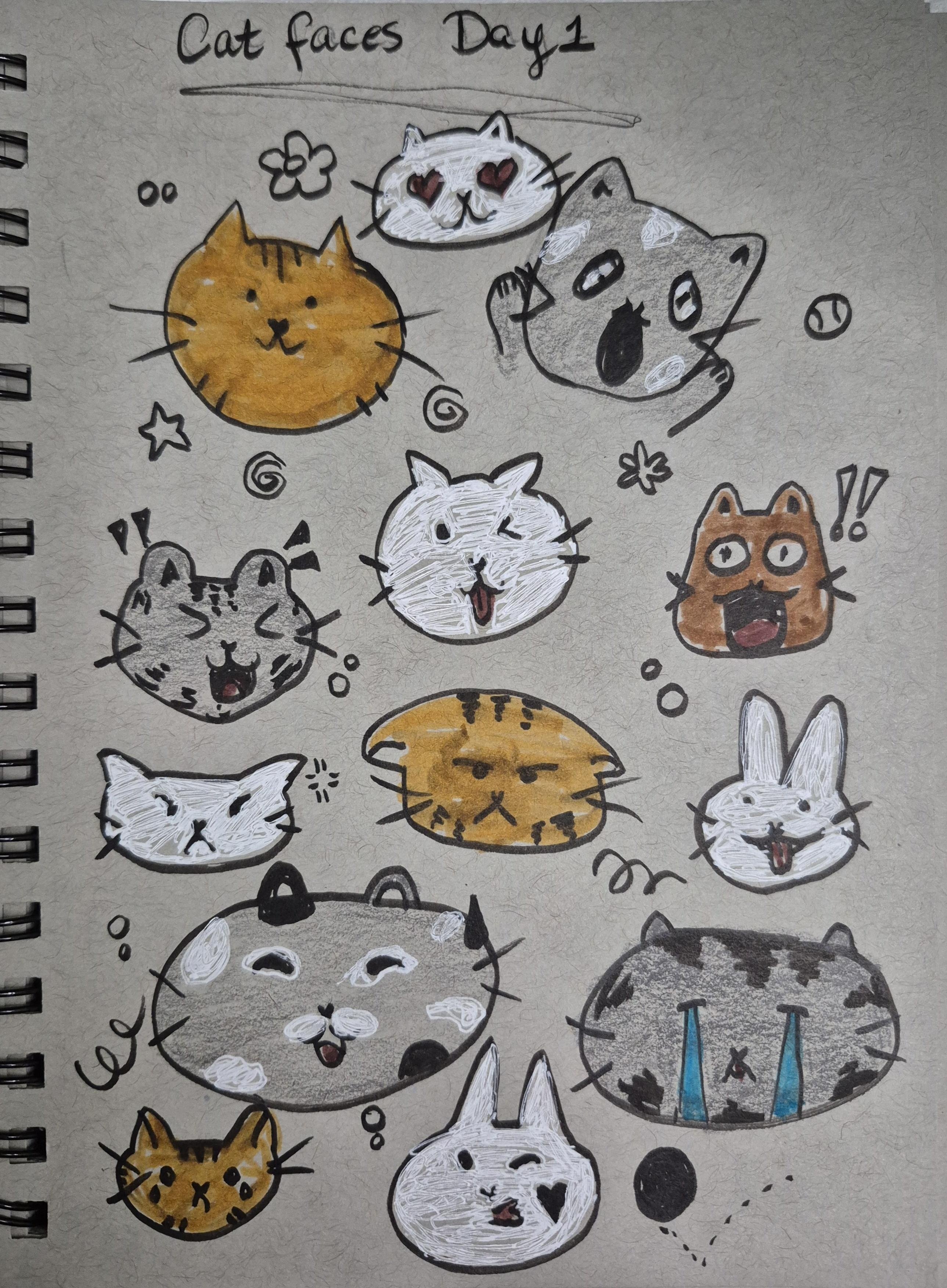 more-projects-from-class-img