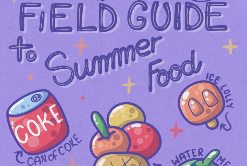 Field guide to… having fun!
