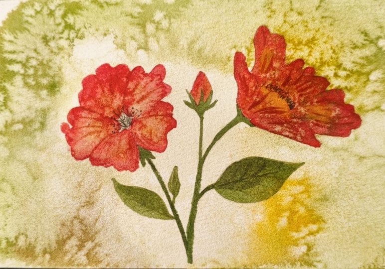 Red Flower with Salt