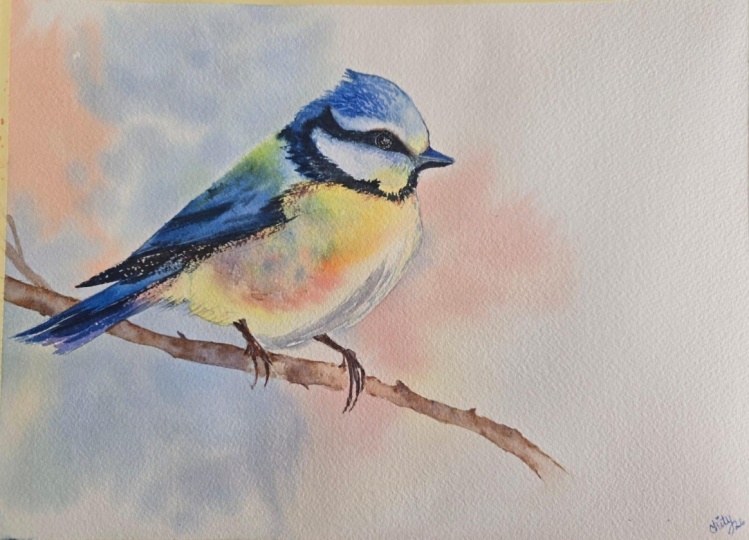 Blue Tit!