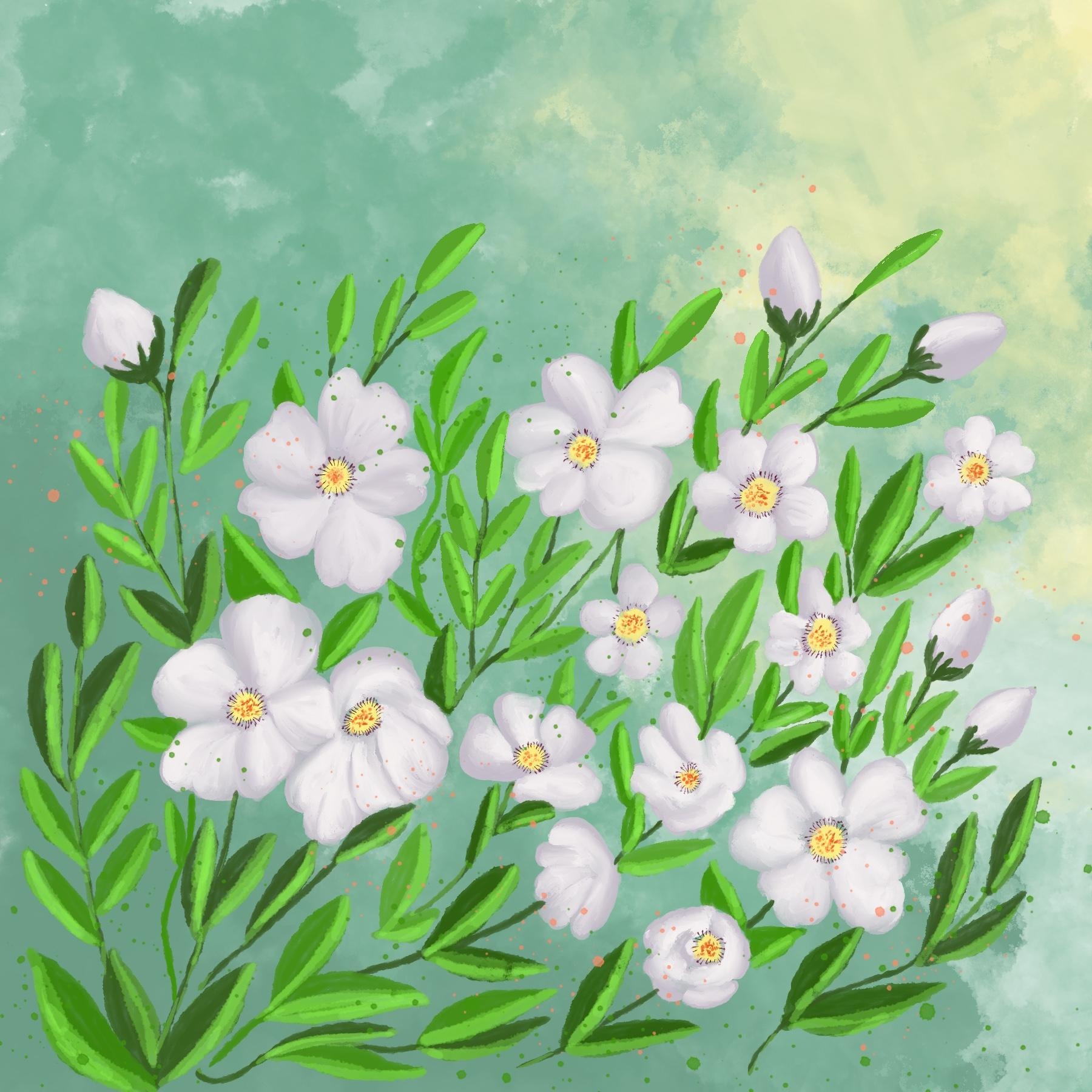 more-projects-from-class-img
