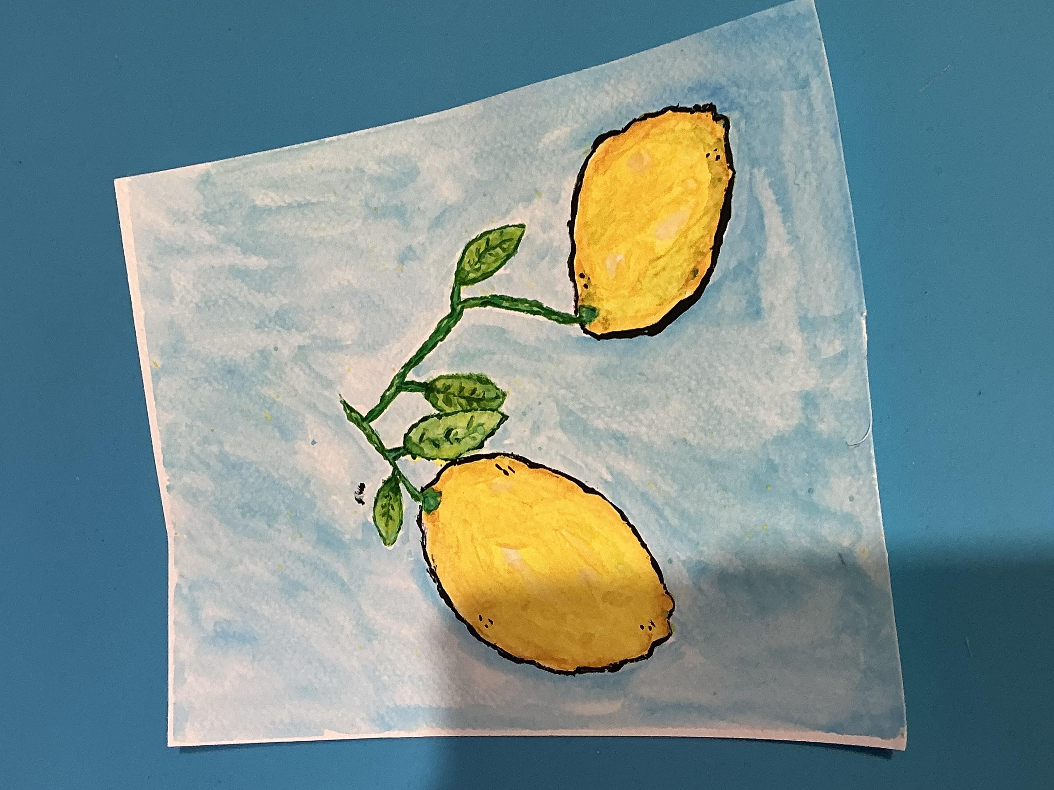 more-projects-from-class-img