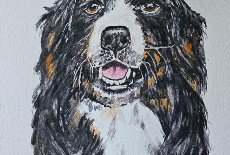 Shadow, My Scruffy Little Pup