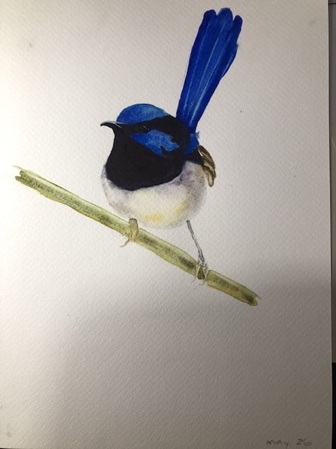 more-projects-from-class-img