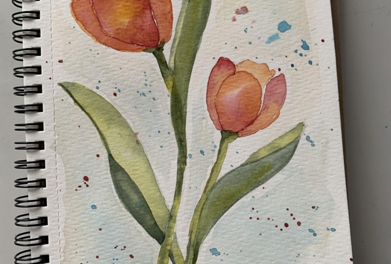 Tulips Wet in Wet
