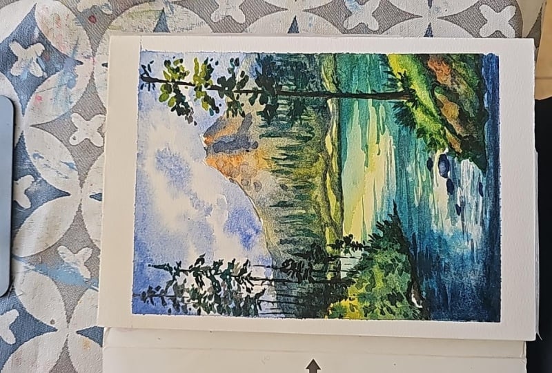 mountain and pine tree forest landscape