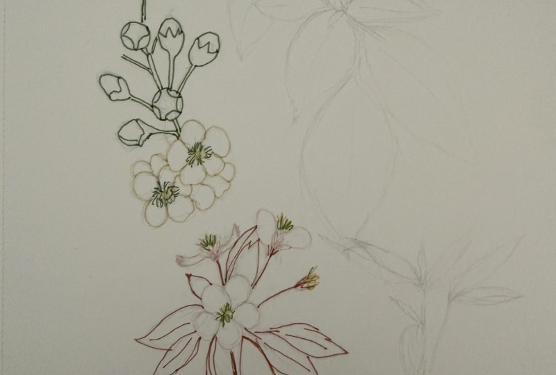 Out of My 2026 sketchbook