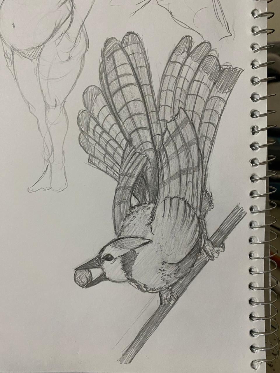 more-projects-from-class-img