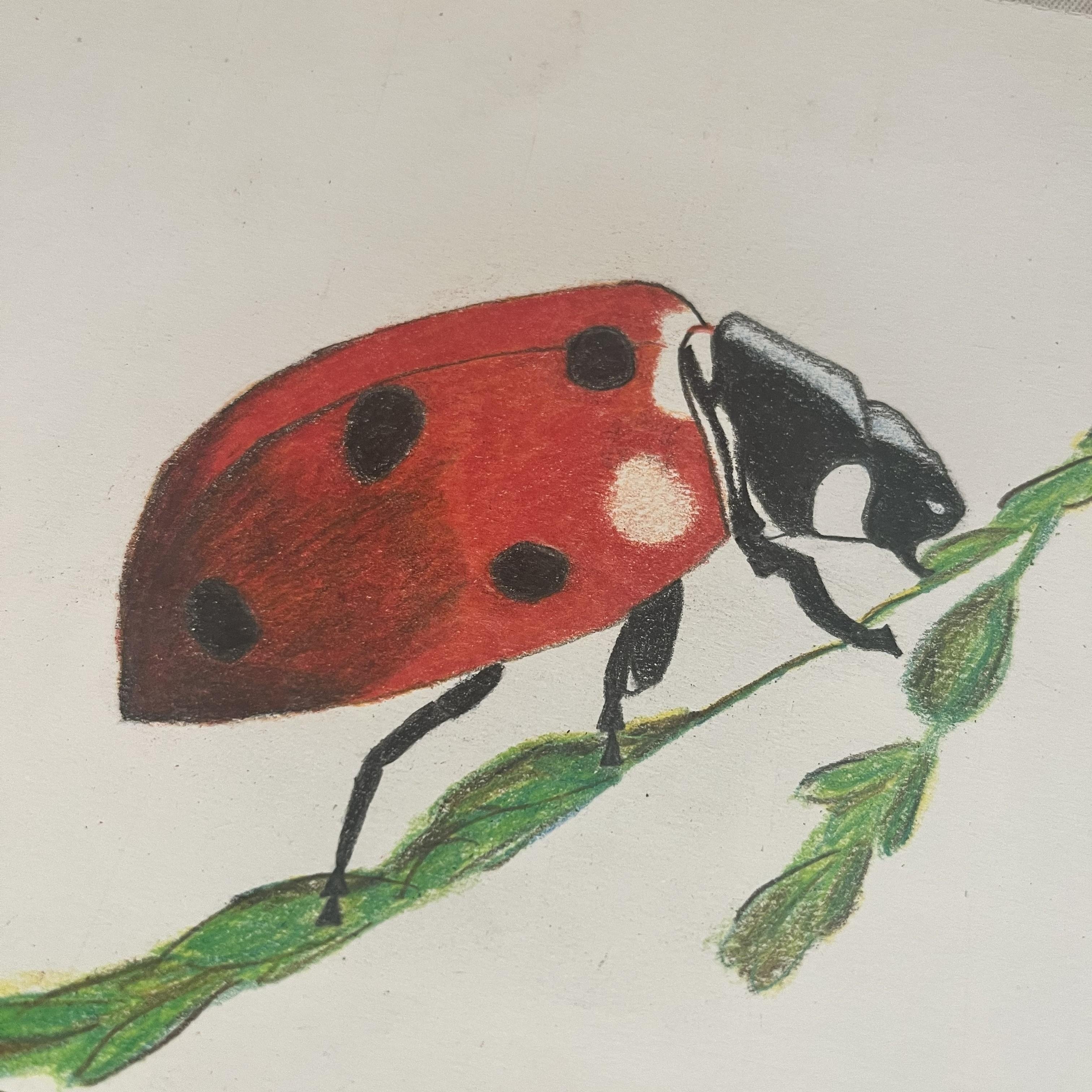 more-projects-from-class-img