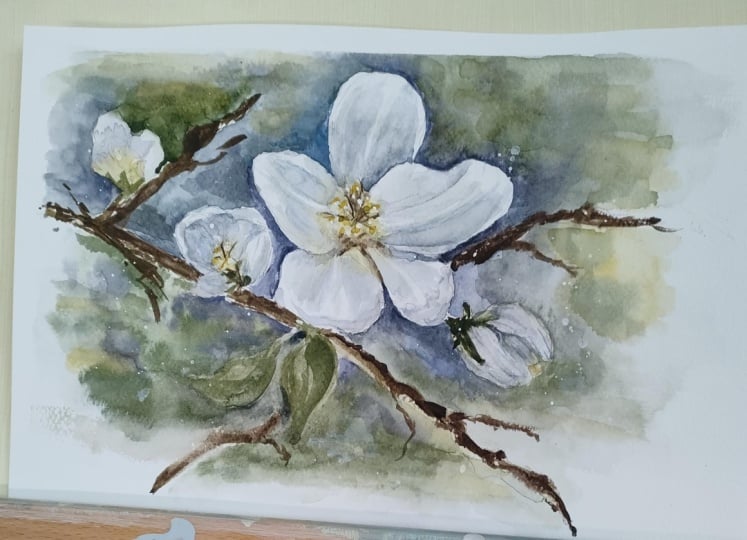 White Cherry Blossoms