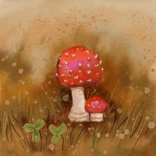 Mushrooms