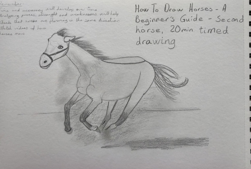 How To (Finally) Draw Horses