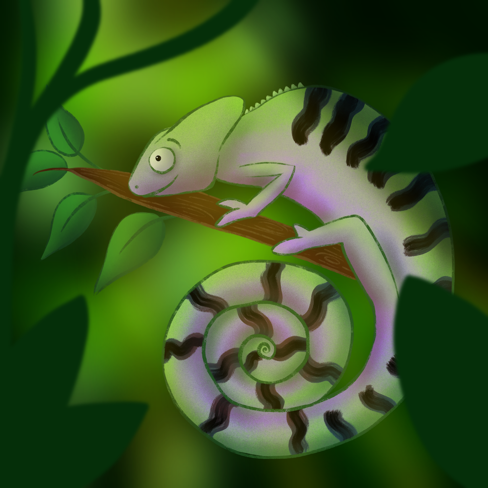 more-projects-from-class-img