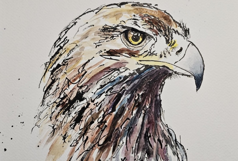 Twig & Ink Eagle