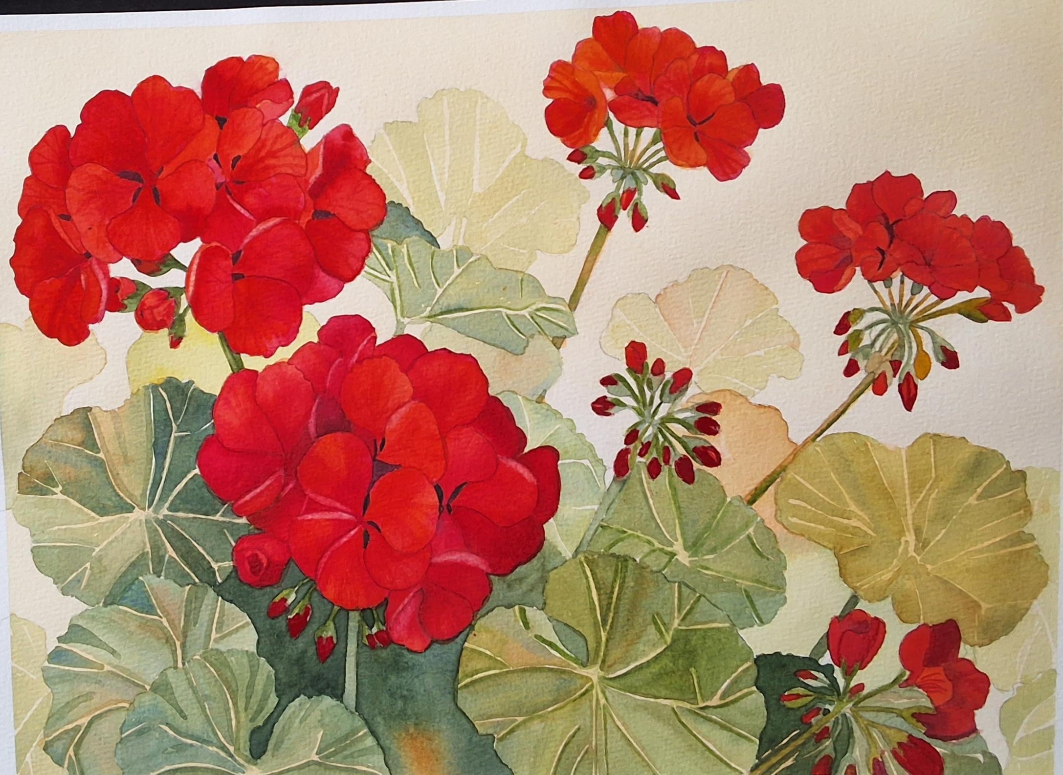 Red Geraniums - student project