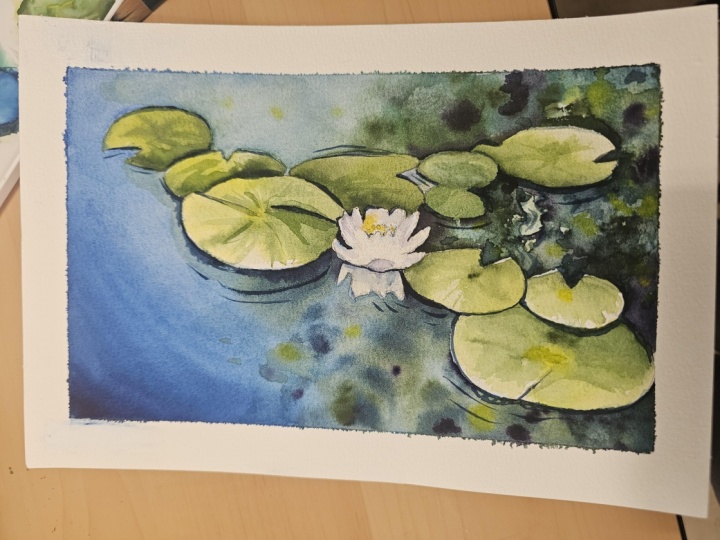 water lilies