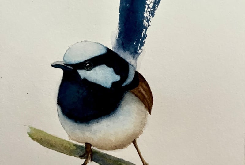 Birdie