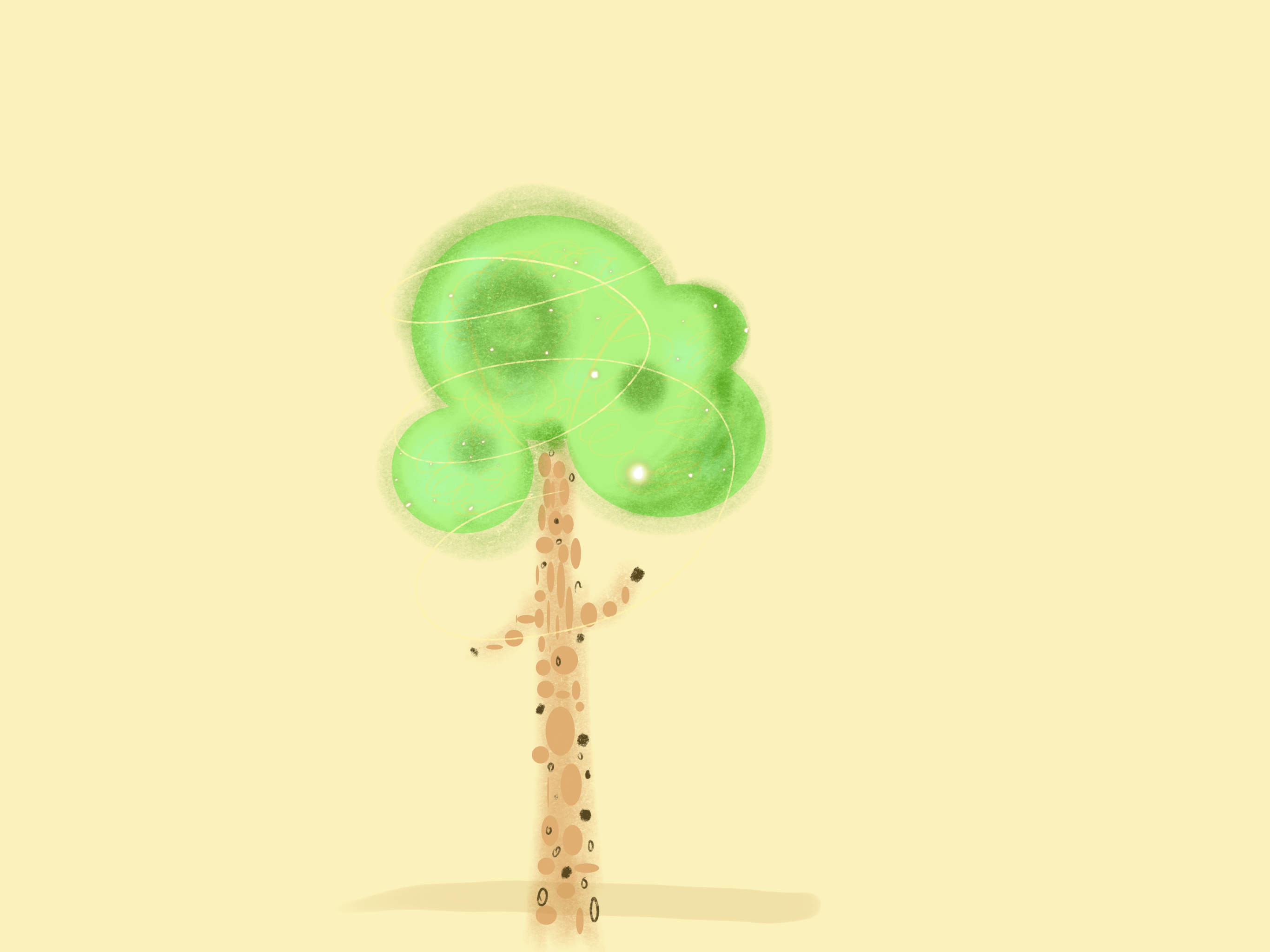 more-projects-from-class-img