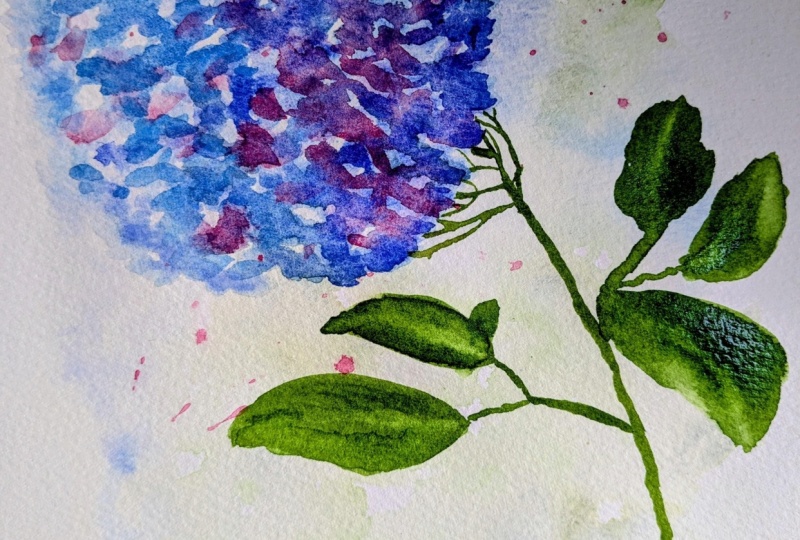 Addendum Loose Watercolor Hydrangea