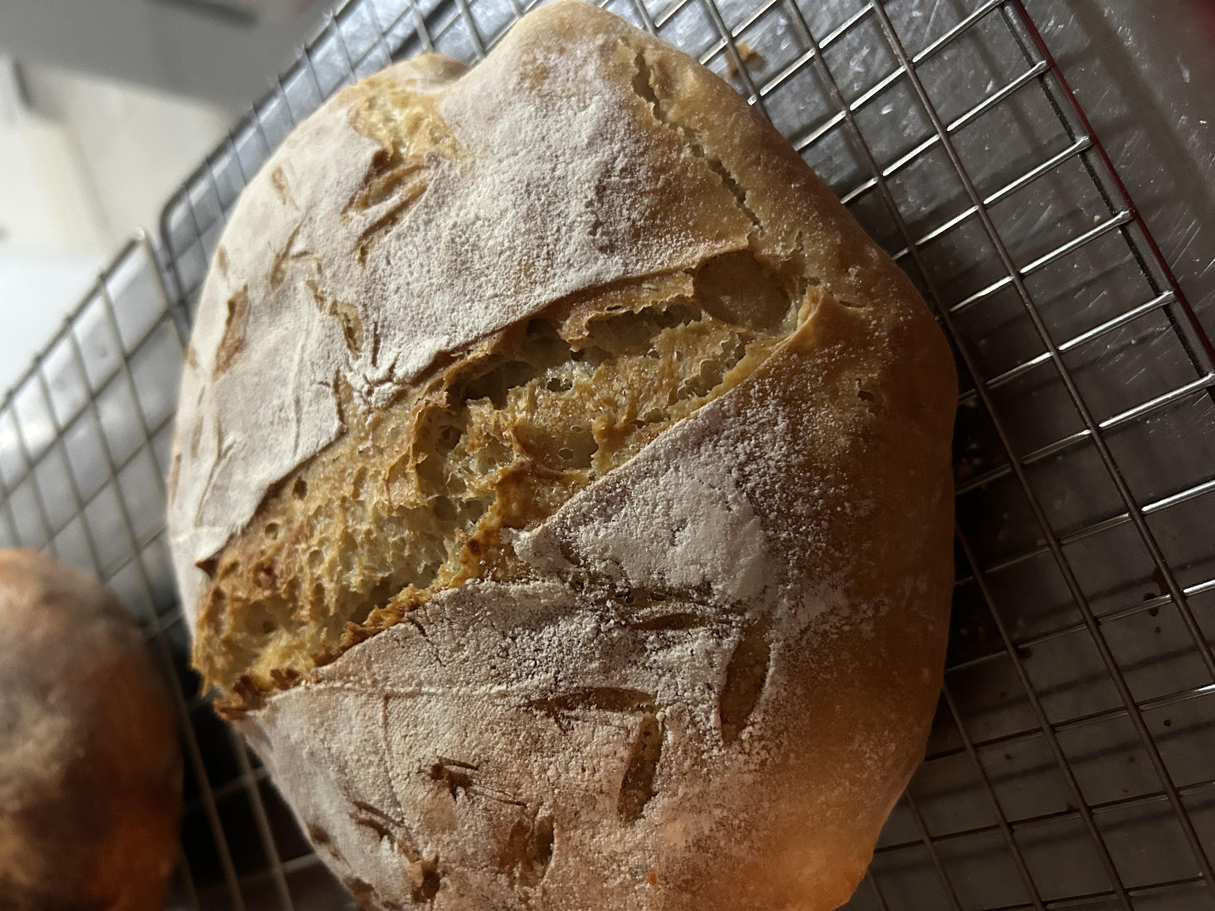 Best sourdough bread - student project