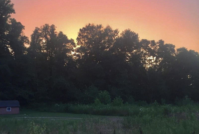 Childhood Sunset