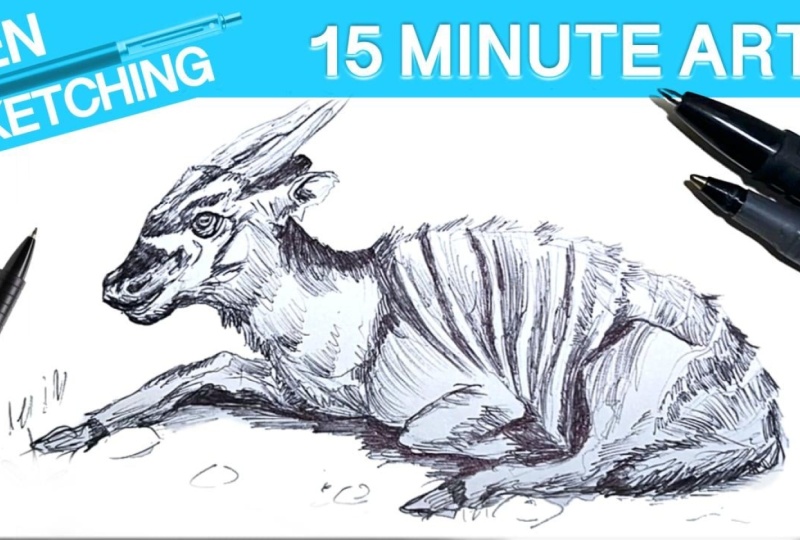 Antelope Sketch