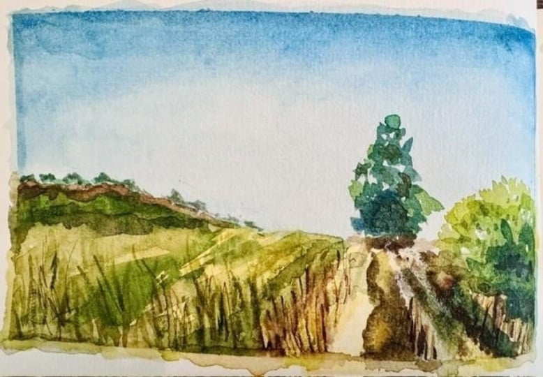 Field & Meadow Landscape 1