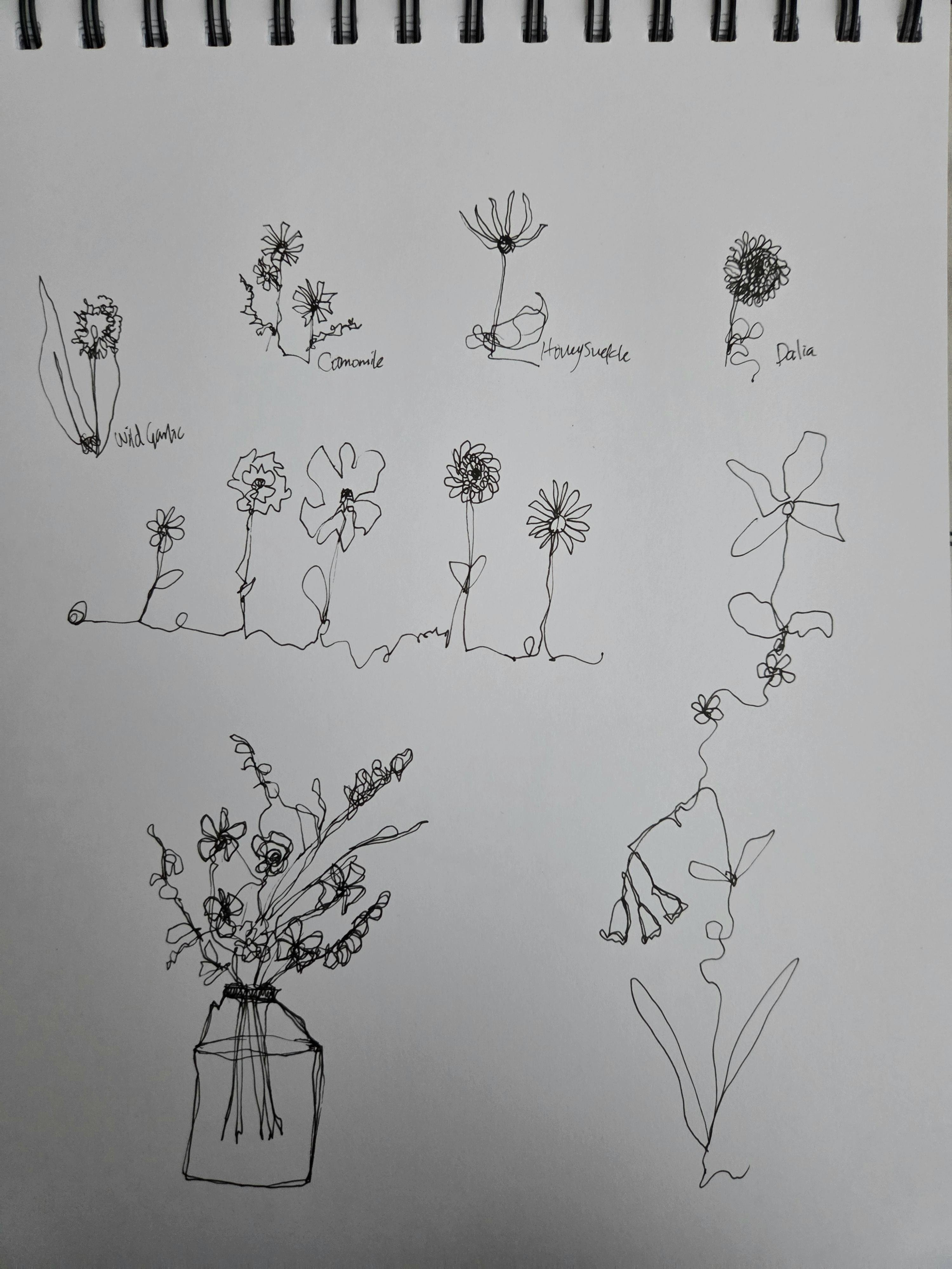 more-projects-from-class-img