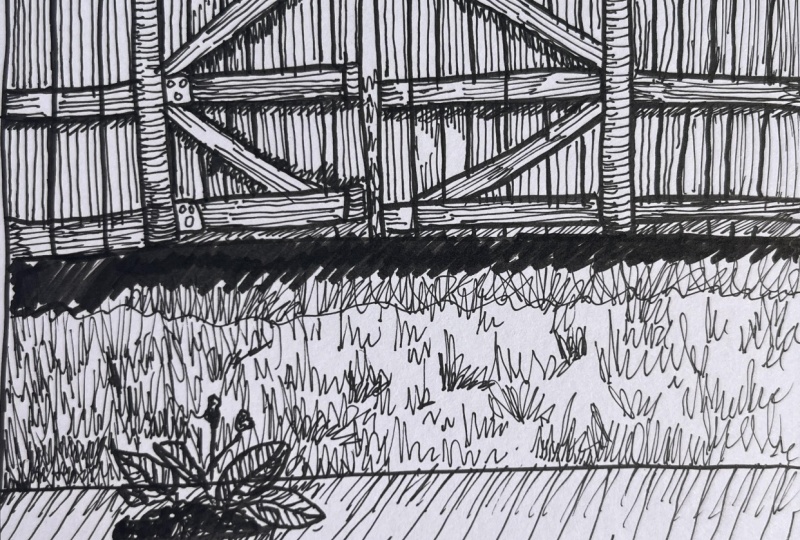 Outdoor pen and ink