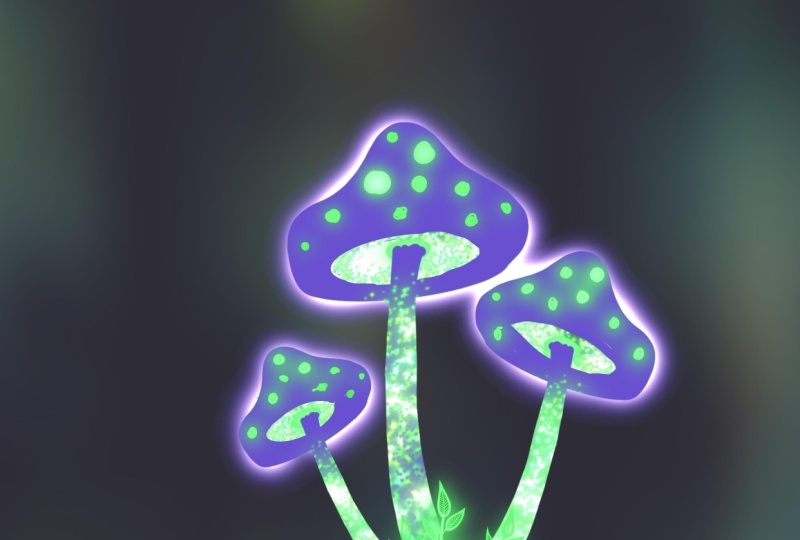 Electric Mushrooms & Jellyfish