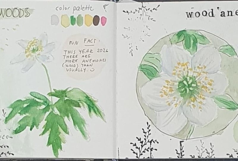 Nature journaling :)))