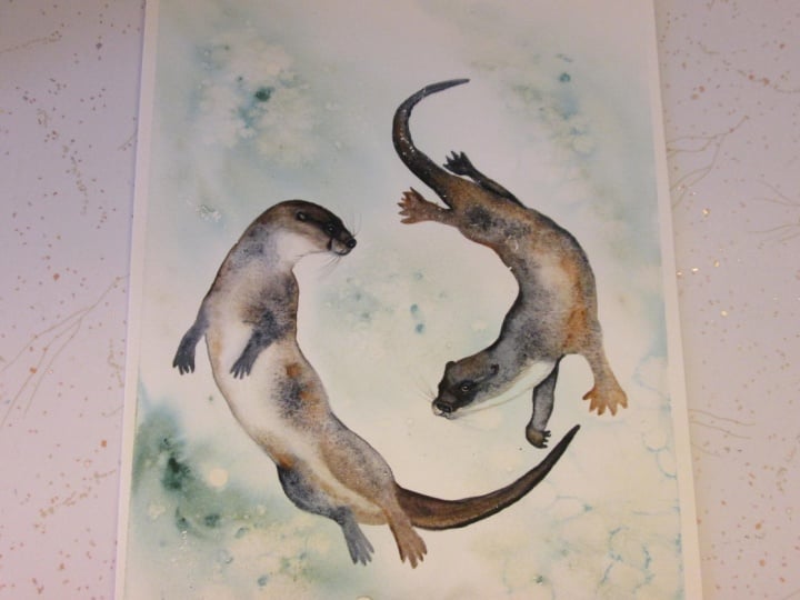 Otters with Jane Davies