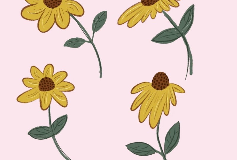 A flower for you 🌼