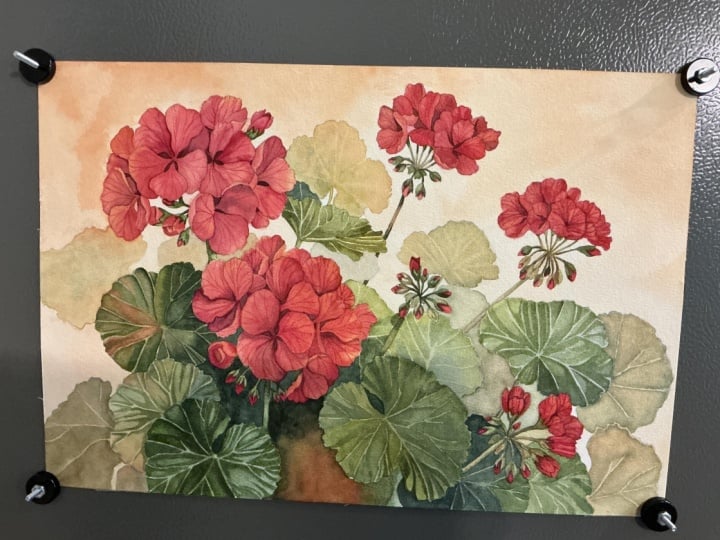Chris’ Geranium