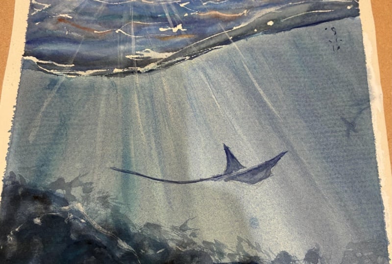 Underwater waves and light with manta ray