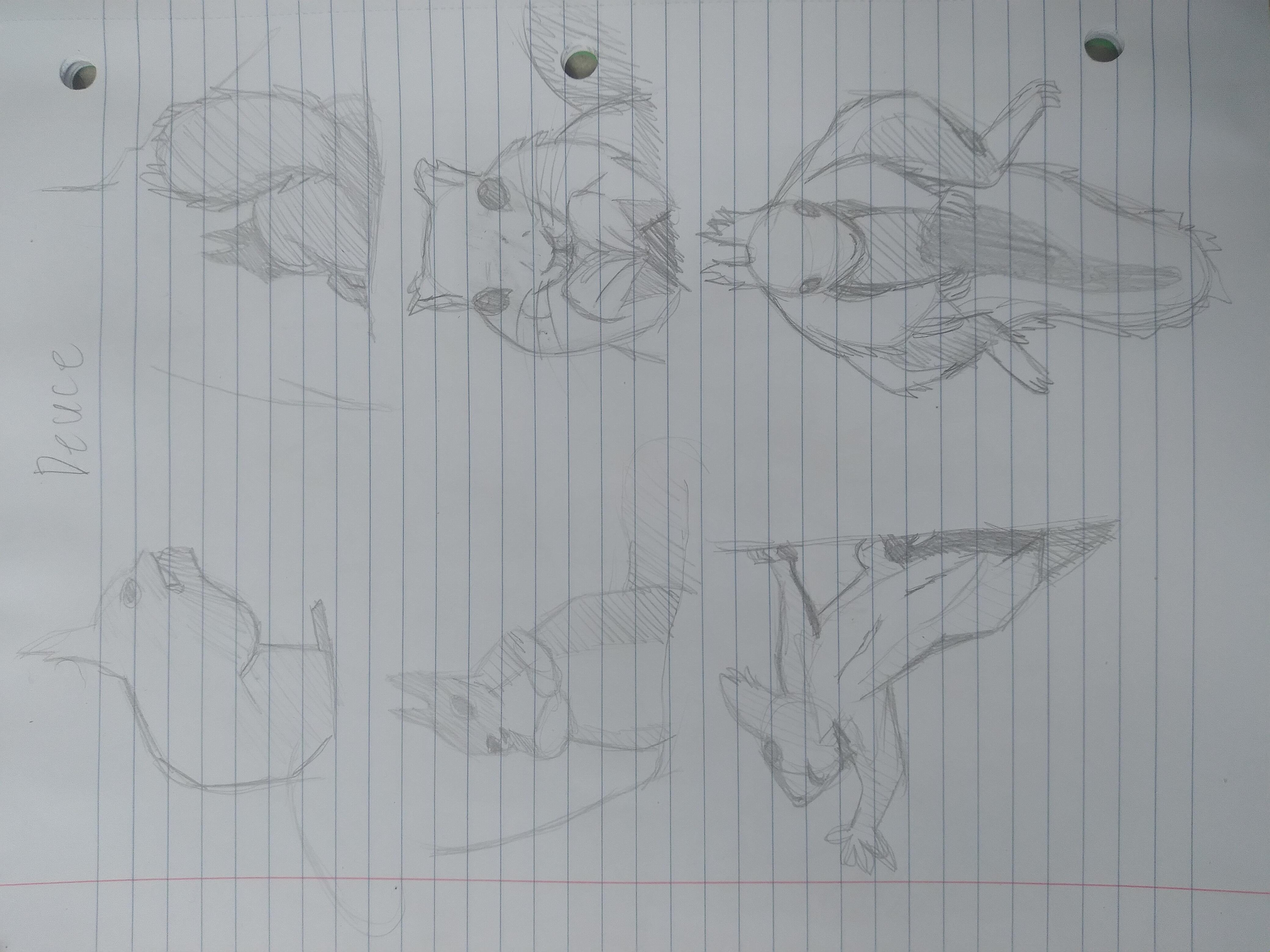 more-projects-from-class-img