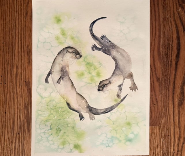 Otters playing