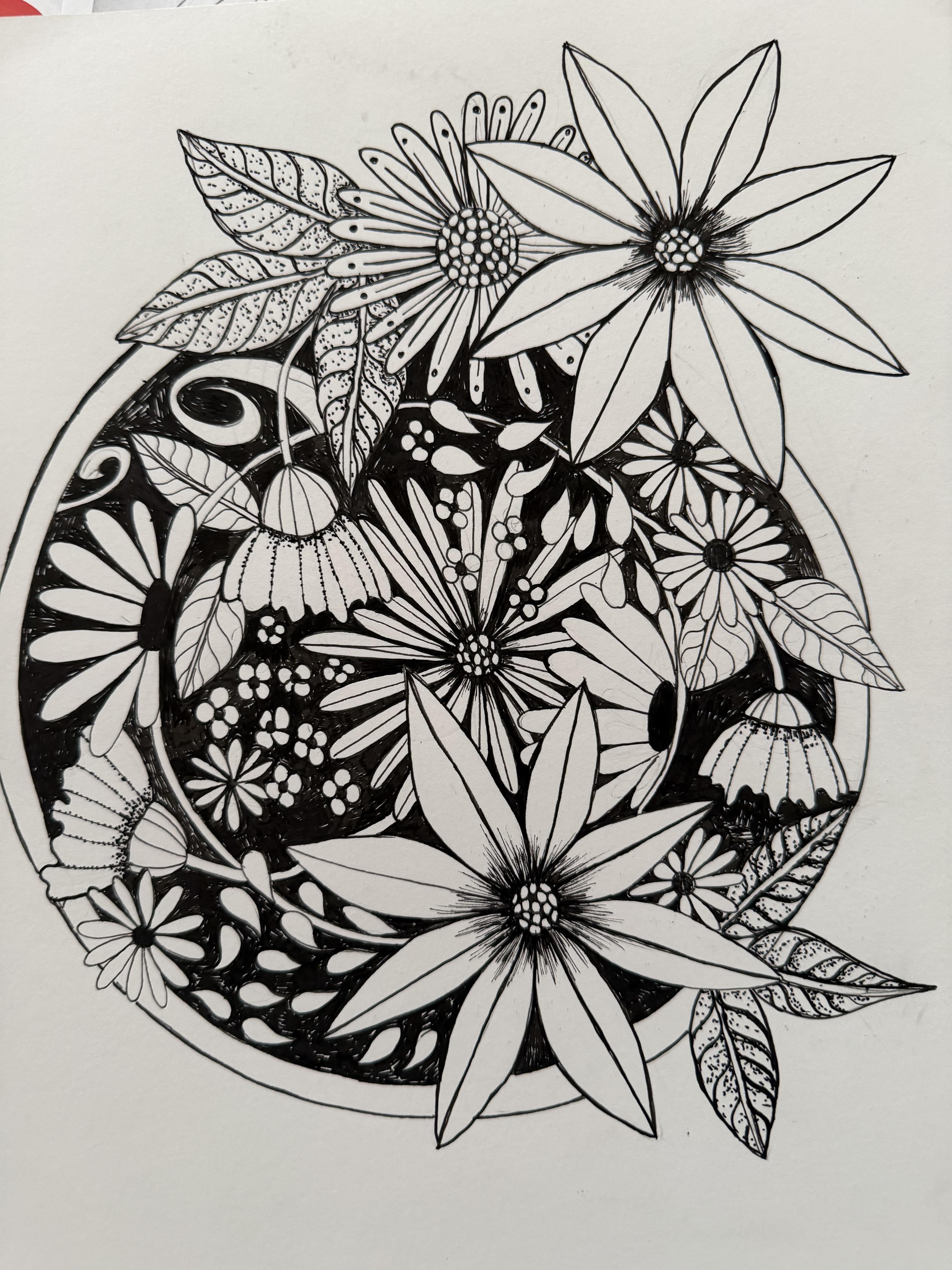more-projects-from-class-img