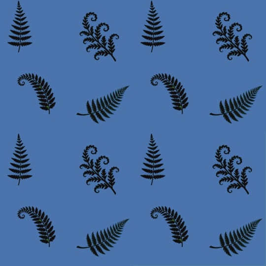 Ferns
