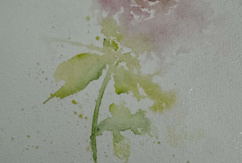 atmosoheric rose